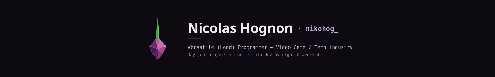 Nicolas Hognon - nikohog_ - versatile programmer, video game / tech industry